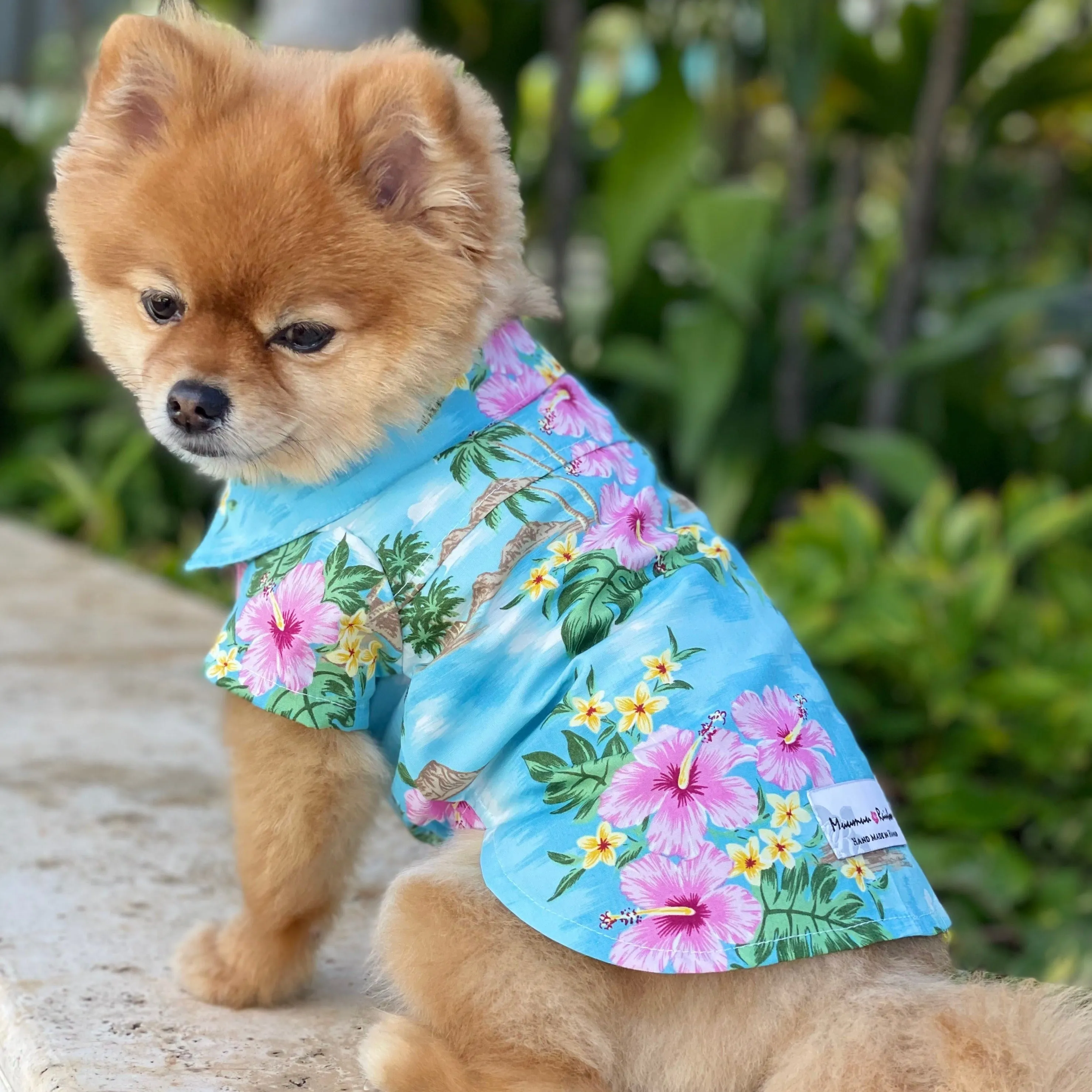 Dog's Hawaiian Shirts |  Hawaiian Green Blue